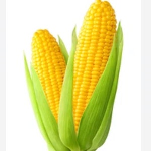 Freeze Dried Sweet Corn. Healthy meals for camping, hiking, snacks backpacking or an emergency. Fresh 25 years. survival food MRE meals