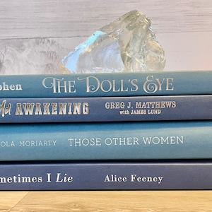 Set of 4 Blue Decorative Book Stack