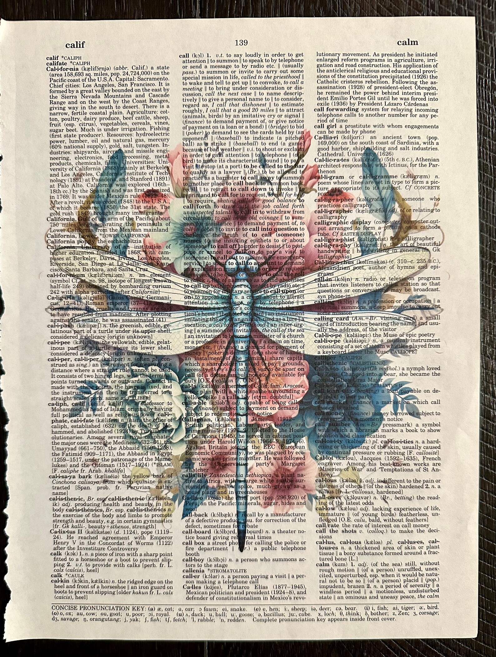 Upcycled Vintage Dictionary Dragonfly Art - Etsy