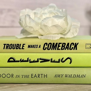 Green Decorative Book Stack Set of 3