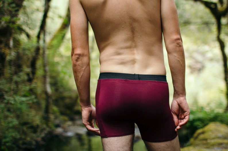 Bamboo Boxer Briefs