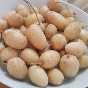 May include: A close-up shot of a white bowl filled with numerous light brown, oval-shaped fruits. Each fruit has a small stem attached. The fruits are clustered together, filling the bowl.