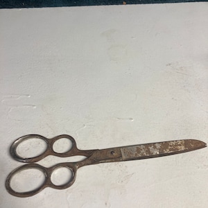 Unique pair of scissors double finger holes