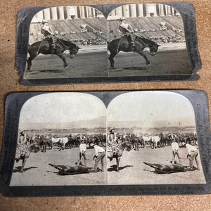 3-d stereo viewer cards stock Branding wild horses Wyoming/ left hand rodeo cowboy