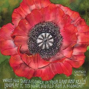 Cartão comemorativo com texto de Poppy e Georgia O'Keeffe