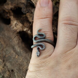 May include: A silver-colored ring in the shape of a snake coiled around a finger. The snake's head is at the front, with detailed scales and a textured surface. The ring is worn on a finger against a blurred wooden background.