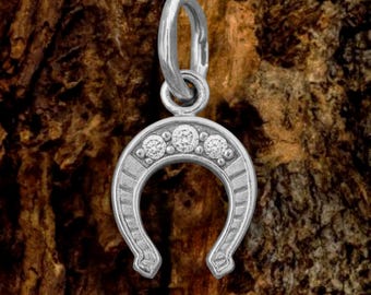 Srebrny wisiorek w kształcie podkowy – amulet szczęścia z cyrkonii sześciennej