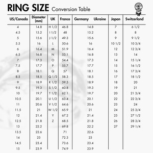 Gothic Steampunk Dracula Silver Ring / Vampire Ring/Halloween Ring/Vampire jewelry made of 925 sterling silver/Unisex Ring/Vampire Bite image 10