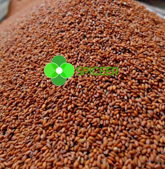 Graines de cresson Lepidium sativum Halim Aliv Bio حب الرشاد Pour manger et  agriculture / Choisir -  France