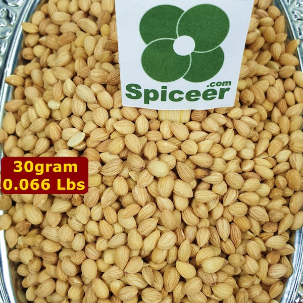 30 Grams Mahaleb seeds Prunus cherry Mahleb ( Mahlepi Mahlab ) Mahlep seed wholeMahlab  محلب