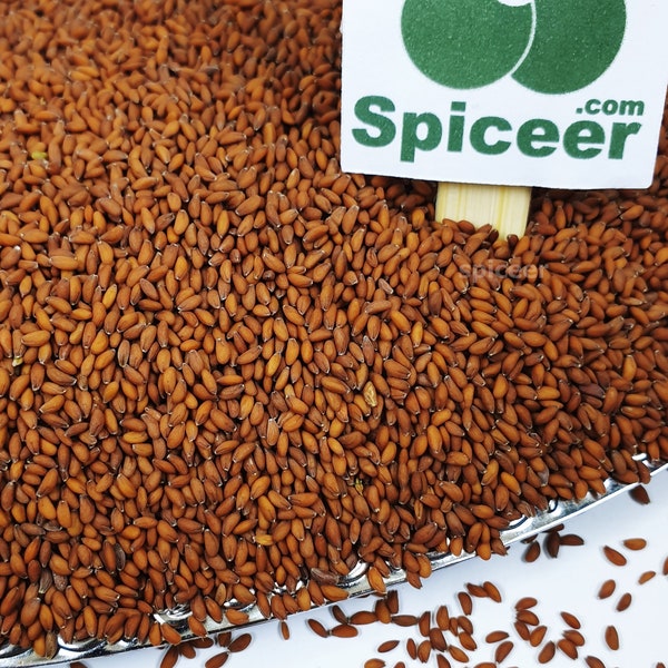 Garden Cress Seeds Lepidium sativum Halim Aliv Organic  حب الرشاد For eating and agriculture / Choose