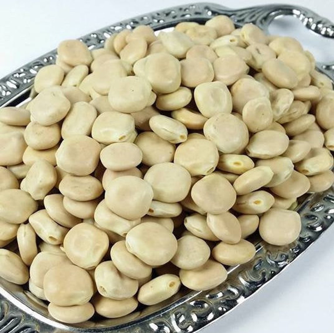Bitter & Sweet Lupin Lupini Beans Lupine Lupinus Alba Seeds Bean Seed