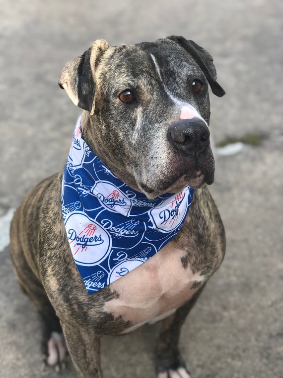 Dodgers dog bandana Clearance