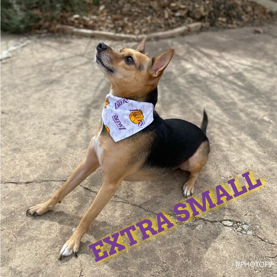 Reversible Los Angeles Lakers Dog Bandana LA Lakers Over the 