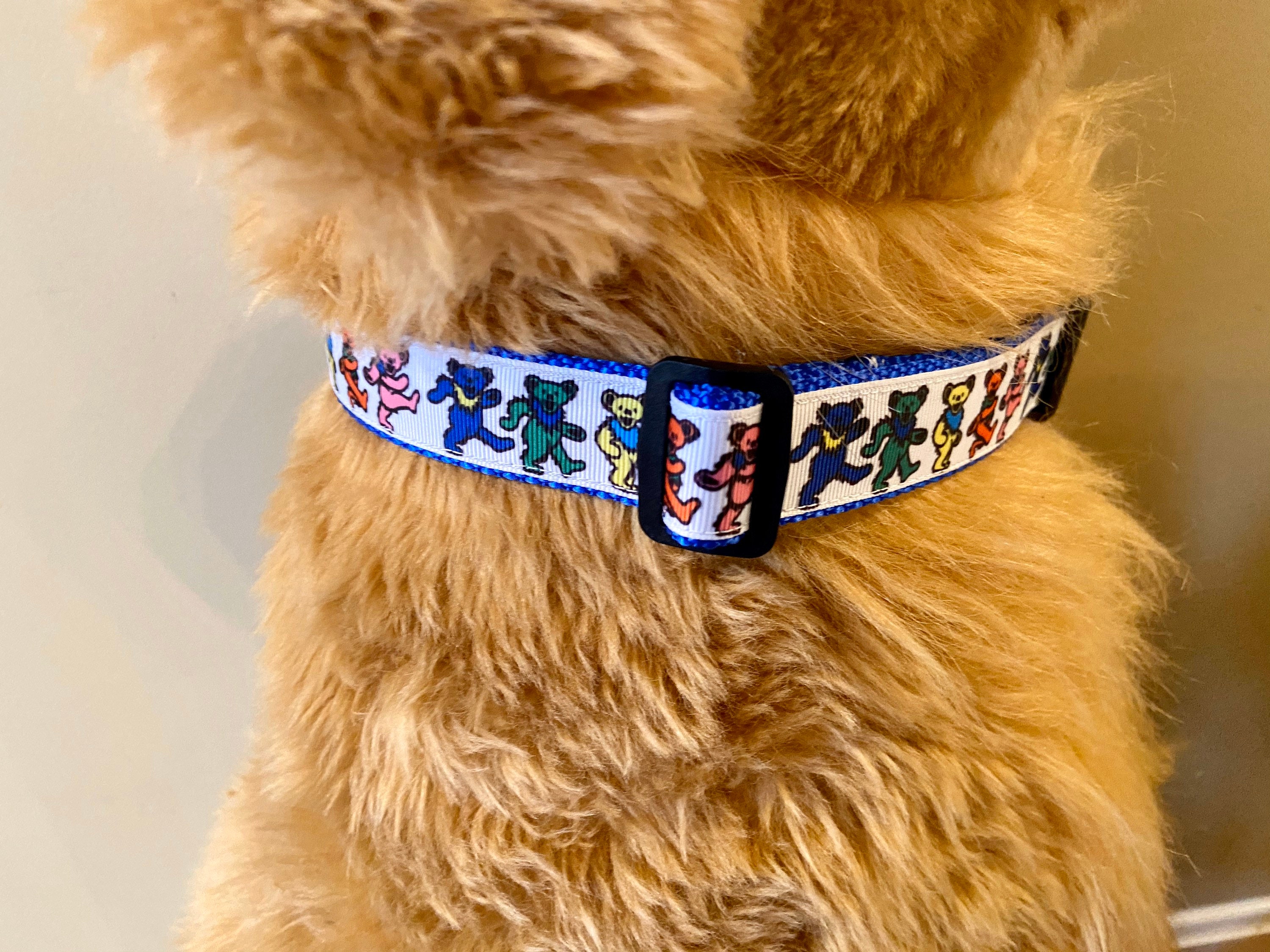 dancing bears dog collar