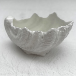 May include: A white ceramic seashell-shaped bowl. The bowl has a textured surface with ridges and a scalloped edge. The interior is smooth and white. The bowl is likely used for decorative purposes or to hold small items.