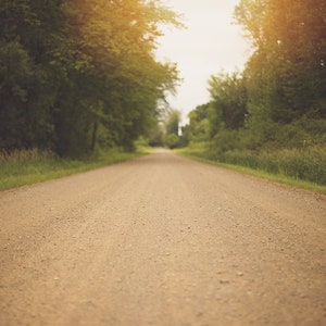 Puede incluir: Un largo camino de tierra se extiende hacia la distancia, bordeado de árboles verdes a ambos lados. El camino está vacío y el sol brilla intensamente.