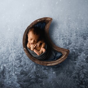 Blue Moon Newborn Digital Backdrop: Winter Snow Trees (Digital Download)