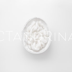 White Egg Newborn Digital Backdrop, Easter Newborn Background for Photoshop with White Wood Carved Bowl and White Wool Fluff