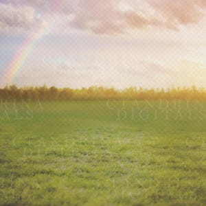 Rainbow Field Digital Backdrop, Dreamy Rainbow Field, Grassy Field with Tree Line Background, Pretty Digital Backdrops for Photoshop