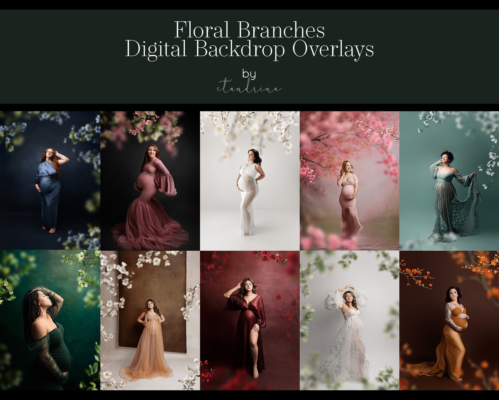 Floral Branch Backdrop Overlays: Blurred Branches for Photography (Digital Download)