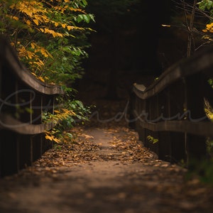 May include: A wooden bridge with a path leading through a dark woodland. The path is covered in fallen leaves. The bridge is surrounded by trees with yellow and green leaves.