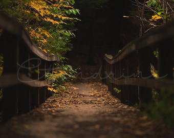 Alte hölzerne digitale Brücke Hintergrund, beleuchteter Herbst-Pfad, Herbst-Wald-Digital-Hintergrund, Photoshop-Kulisse für Porträt-Fotografie