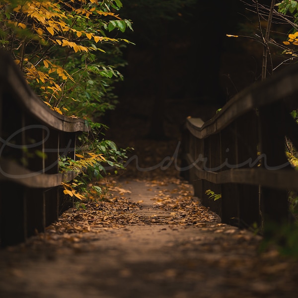 Old Wooden Bridge Digital Backdrop, Fall Lit Path, Fall Forrest Digital Background, Photoshop Backdrops for Portrait Photography