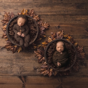 Twin Newborn Digital Backdrop, Fall Newborn Digital Background for Twins, Autumn Baby Backdrops, Multiple Baby Backdrops for Photoshop
