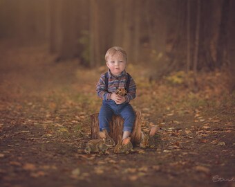 Stump in Woods Digital Background, Fall Backdrop, Woodsy Image, Digital Background for Portrait Photography, Digital Backdrops for Photoshop