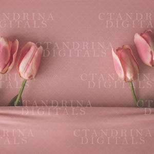Baby Under Covers with Tulips Newborn Digital Backdrop, Floral Newborn Backdrop, Pretty Spring Newborn Digital Backdrops for Photoshop