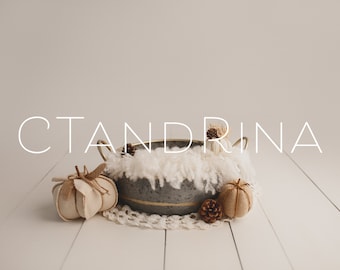 Fall Newborn Digital Backdrop: Pumpkins, Pine Cones, Wood Planks (Digital Download)
