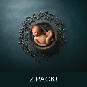 Blaubeere Neugeborene digitale Kulissen, Beere 2 Pack digitaler Hintergrund, Blaubeere Baby, Sommer Neugeborene digitale Kulissen für Photoshop