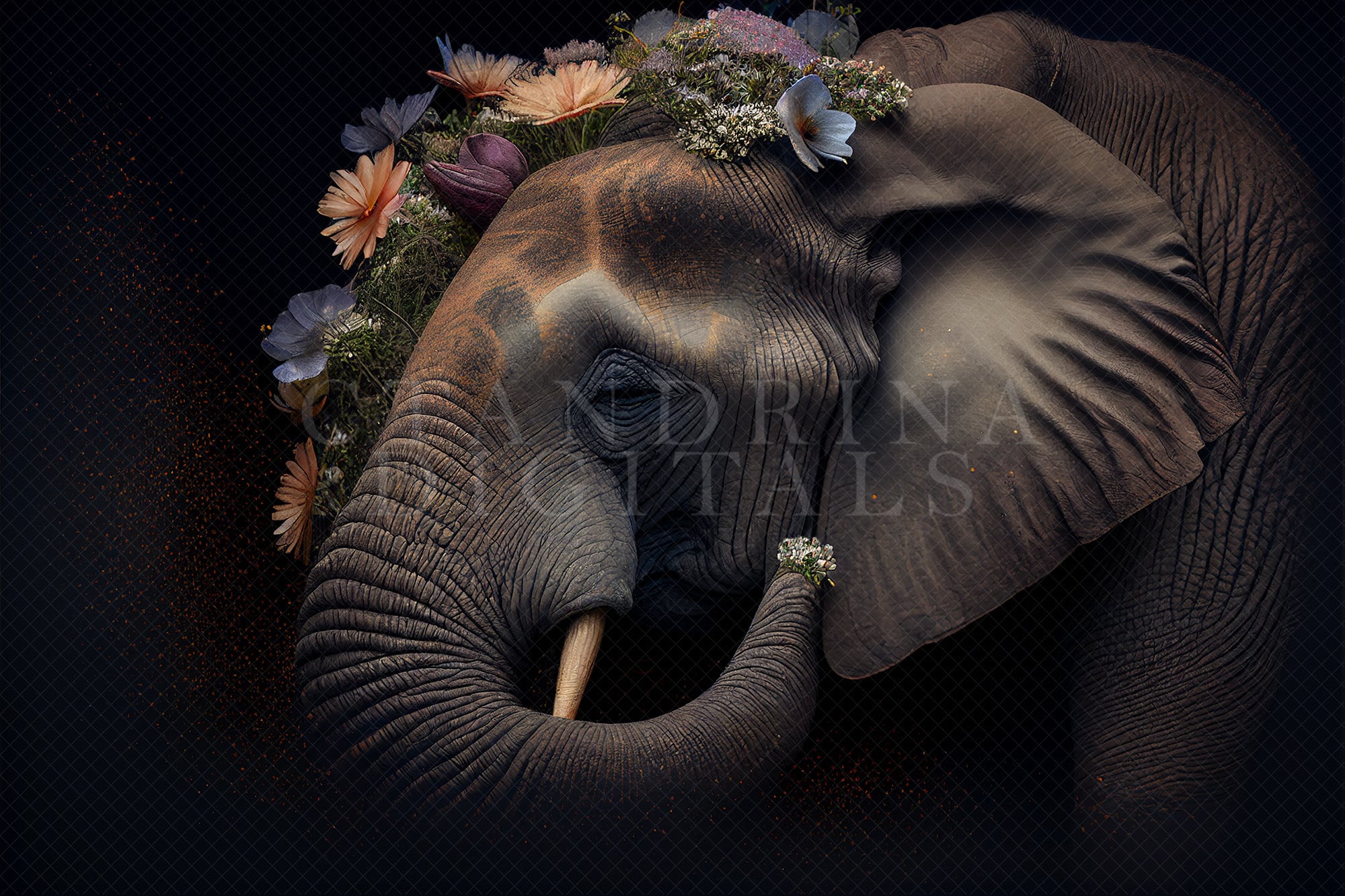 Elephant Pattern - Elephant Wallpaper - Elephant Skin Greeting Card by  YouRdi