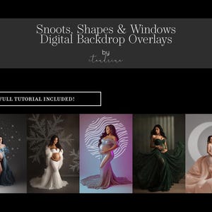 Maternity Digital Backdrop Overlays: Snoot & Shape Photoshop GOBO (Digital Download)