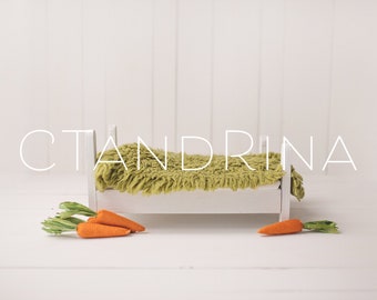 Toile de fond numérique nouveau-né de lit de lapin blanc, fond de nouveau-né de Pâques, toile de fond de ressort avec la fourrure verte et la toile de fond de carottes pour Photoshop