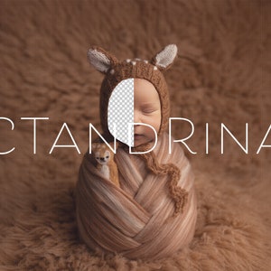 May include: A newborn baby wrapped in a brown and white swaddle, wearing a brown and white deer hat. The baby is sleeping with its eyes closed. The background is a brown fuzzy surface. The text "CTANDRINA" is visible in the image.