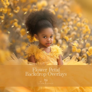 Flower Petal Overlays, White Rose Petal Overlays, Pink Rose Petal Overlays, Yellow Rose Petal Overlays, Falling Petal Overlays for Photoshop