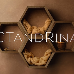 Può includere: Un'unità a scaffale esagonale in legno con sei scomparti. Ogni scomparto contiene un oggetto diverso, tra cui una coperta di lana marrone, un mestolo per il miele e un piccolo vaso marrone. Il testo "CTANDRINA" è scritto in lettere bianche al centro dell'unità a scaffale.