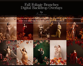 Fall Branch Backdrop Overlays: Floral PNG Branches for Photography (Digital Download)