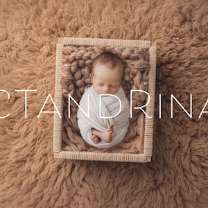 Neutral Macrame Basket Newborn Backdrop (Digital Download)