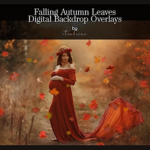20 Falling Leaf Overlays, Falling Autumn Leaves, Flying Fall Leaves, PNG Fall Overlays, Blowing Leaves, Falling Leaves Photoshop Overlays