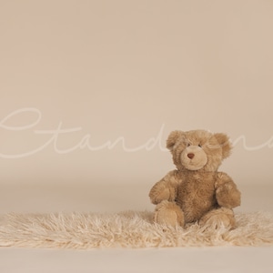 Sitting with Teddy Digital Baby Backdrop, Backdrop for Babies, Milestones Backdrop, Sitter Session Background, Backdrops for Photoshop