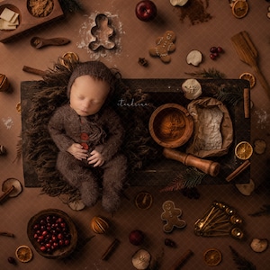Christmas Gingerbread Newborn Digital Backdrop (6720x4480 px)