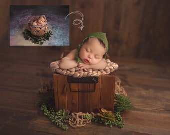 May include: A newborn baby wearing a green hat is sleeping in a wooden box lined with a beige rope. The box is surrounded by green plants and a brown net.