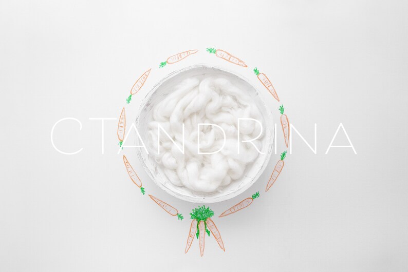 White Easter Newborn Backdrop for Photoshop Spring Newborn Background Hand Drawn Carrot Wreath Newborn Digital Backdrop