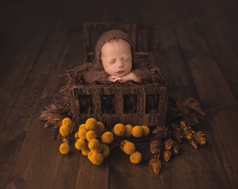 Fall Newborn Photography Digital Backdrop: Wood, Foliage (Digital Download)