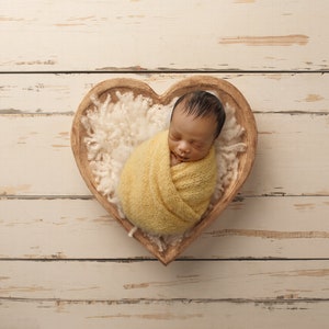 Vintage Heart Bowl Newborn Digital Backdrop (Digital Download)