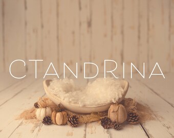 Fall Newborn Digital Backdrop: Pumpkins, Pine Cones, Wood Planks (Digital Download)