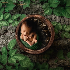 Forest Newborn Digital Backdrop: Jungle Leaves, Baby Boy (Digital Download)